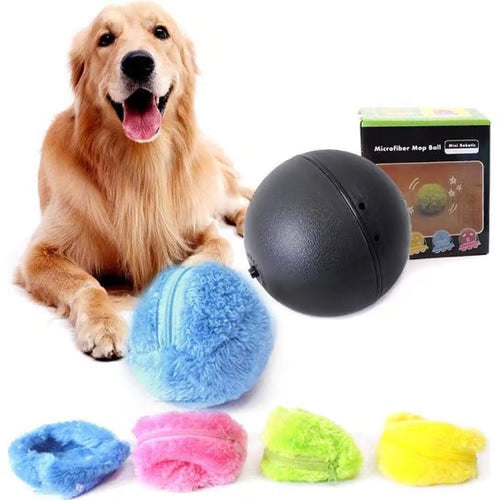 Magic Roller Ball