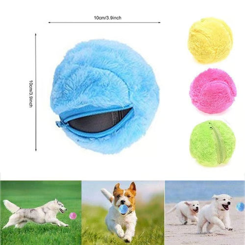 Magic Roller Ball