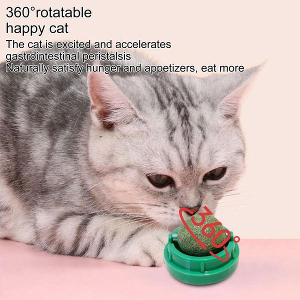 Catnip Wall Balls For Cats