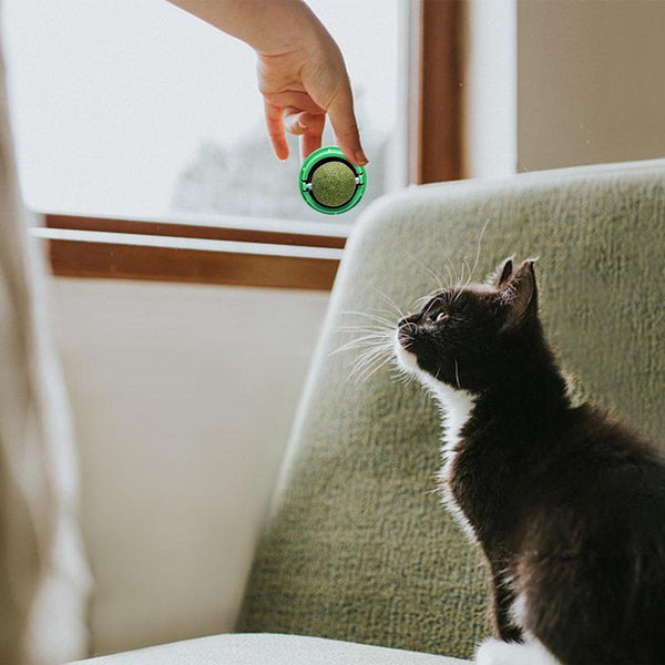 Catnip Wall Balls For Cats