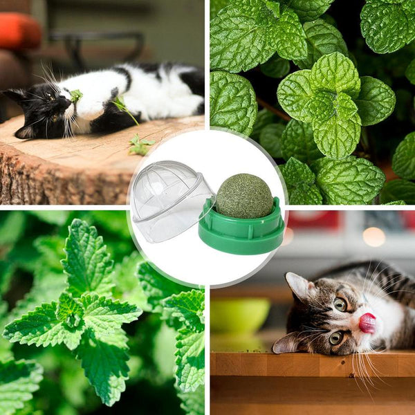 Catnip Wall Balls For Cats