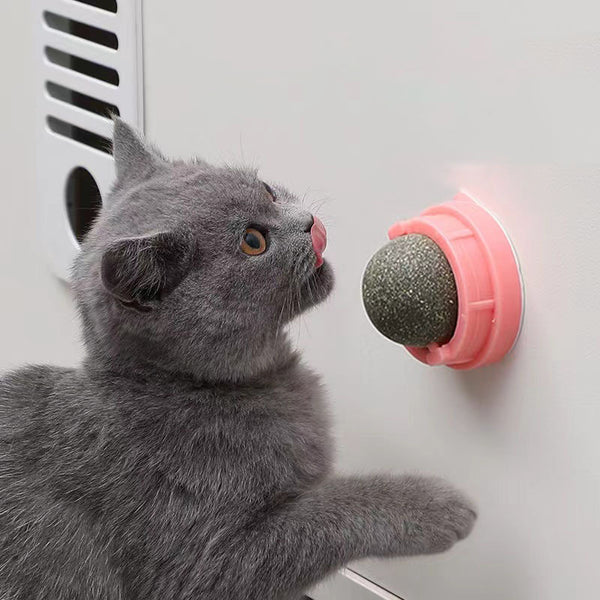 Catnip Wall Balls For Cats
