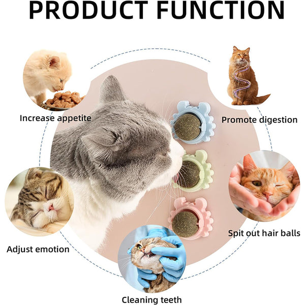 Catnip Wall Balls For Cats