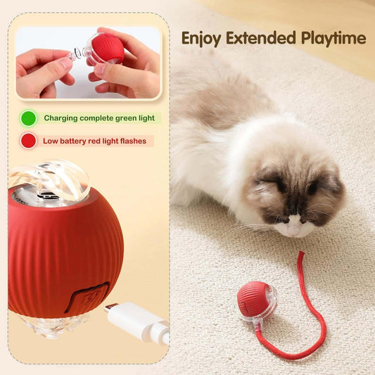 Interactive Cat Toys Rolling Ball