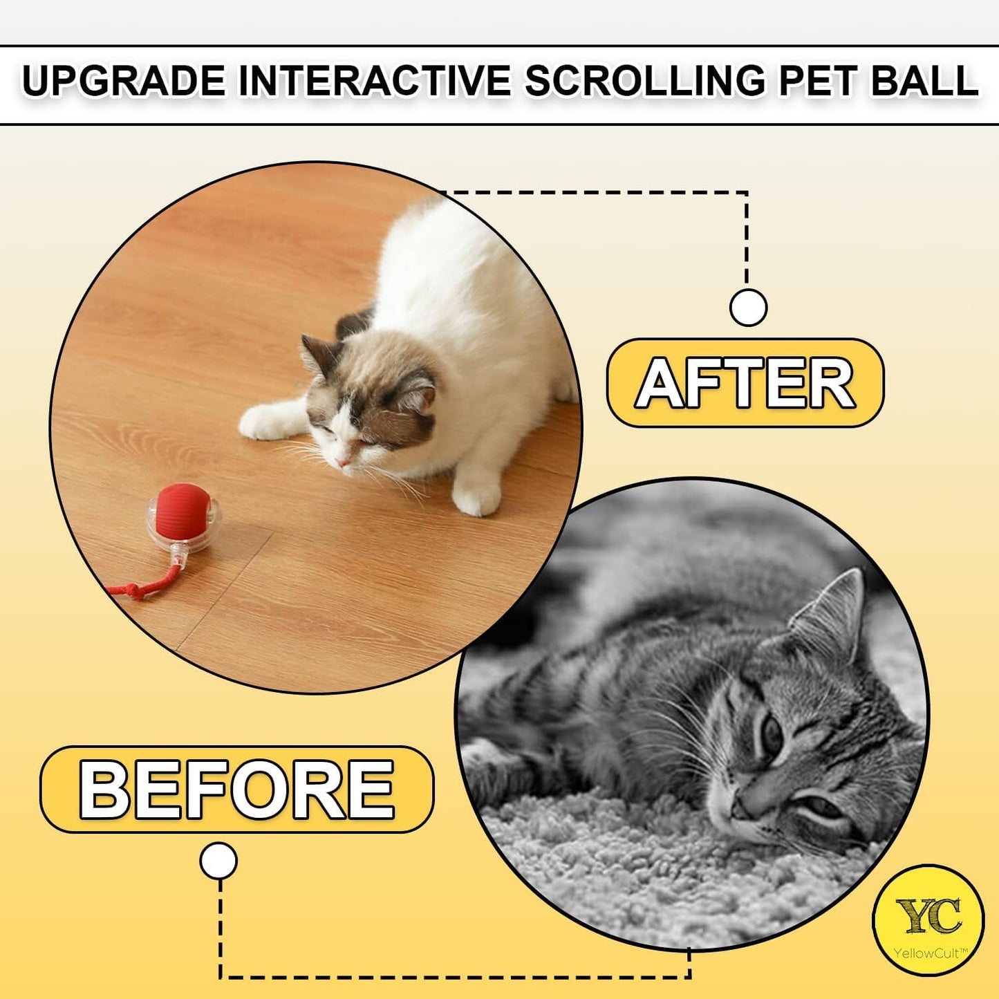 Interactive Cat Toys Rolling Ball