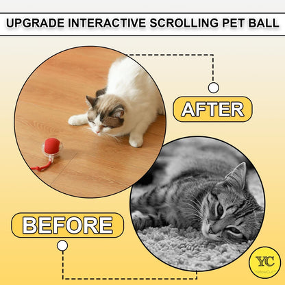 Interactive Cat Toys Rolling Ball