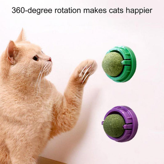 Catnip Wall Balls For Cats