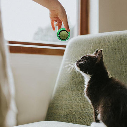 Catnip Wall Balls For Cats
