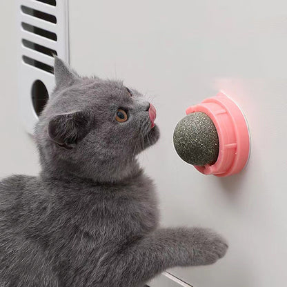Catnip Wall Balls For Cats