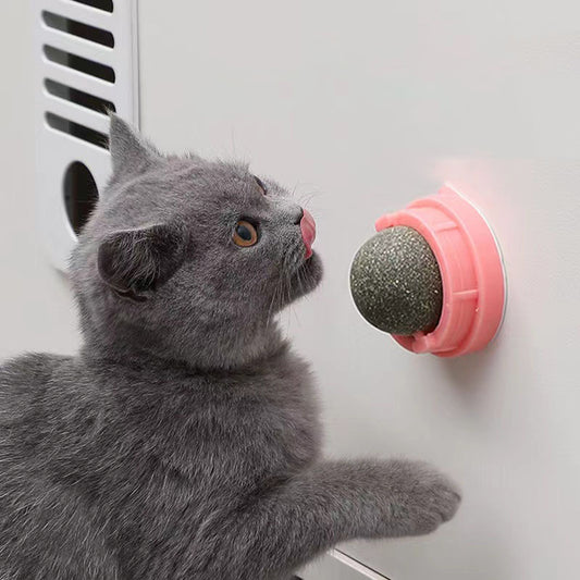 Catnip Wall Balls For Cats